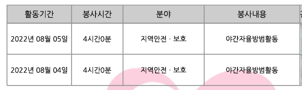활동 인증 사진